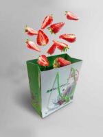 چاپ ساک دستی