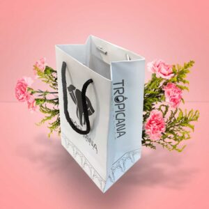 چاپ ساک دستی