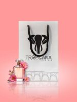 چاپ ساک دستی