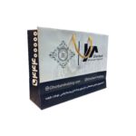 شاپینگ بگ فانتزی