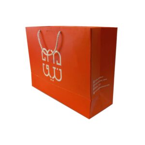 شاپینگ بگ فانتزی